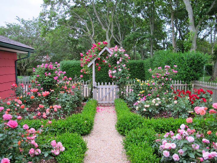 Vườn đẹp nhà xinh NGÂY NGẤT trước những kiểu hô biến sân vườn đẹp lung linh
