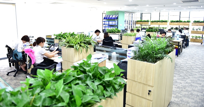 Thiết kế không gian xanh cho văn phòng - Onegreen