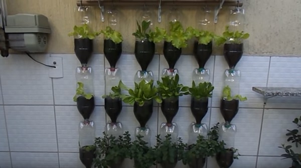 35 cách để tái chế chai nhựa trồng cây siêu cool cho mọi nhà