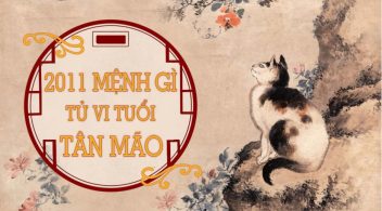 sinh năm 2011 mệnh gì, sinh năm 2011, sinh năm 2011 cung gì, sinh năm 2011 hợp màu gì, sinh năm 2011 cung hoàng đạo gì, sinh năm 2011 tuổi con gì, sinh năm 2011 mệnh gì hợp màu gì, nữ sinh năm 2011 mệnh gì, sinh năm 2011 là mệnh gì, sinh năm 2011 năm nay bao nhiêu tuổi, sinh năm 2011 là bao nhiêu tuổi, sinh năm 2011 là tuổi gì, sinh năm 2011 thuộc cung hoàng đạo nào