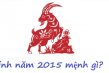 sinh năm 2015 mệnh gì, sinh năm 2015, sinh năm 2015 hợp màu gì, sinh năm 2015 tuổi con gì, sinh năm 2015 là con gì, sinh năm 2015 là tuổi con gì, nữ sinh năm 2015 mệnh gì