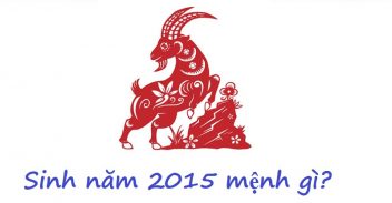 sinh năm 2015 mệnh gì, sinh năm 2015, sinh năm 2015 hợp màu gì, sinh năm 2015 tuổi con gì, sinh năm 2015 là con gì, sinh năm 2015 là tuổi con gì, nữ sinh năm 2015 mệnh gì