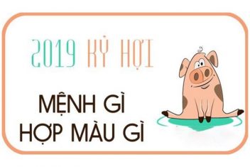 sinh năm 2019 mệnh gì