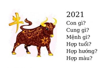 sinh năm 2021 mệnh j