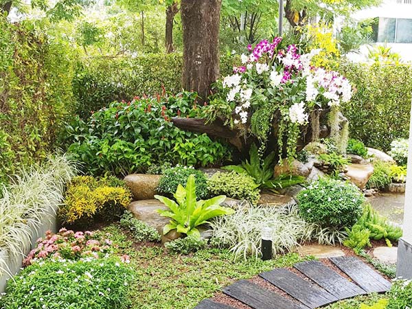 Thiết kế sân vườn với những loại cây khả năng sinh tồn tốt nhất
