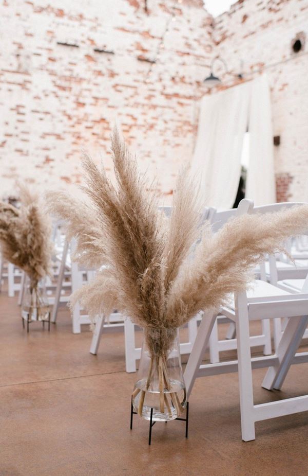 Cỏ lau trang trí cửa hàng