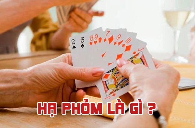 Phom là gì? Hướng dẫn chơi Phom từ A đến Z cho người mới bắt đầu