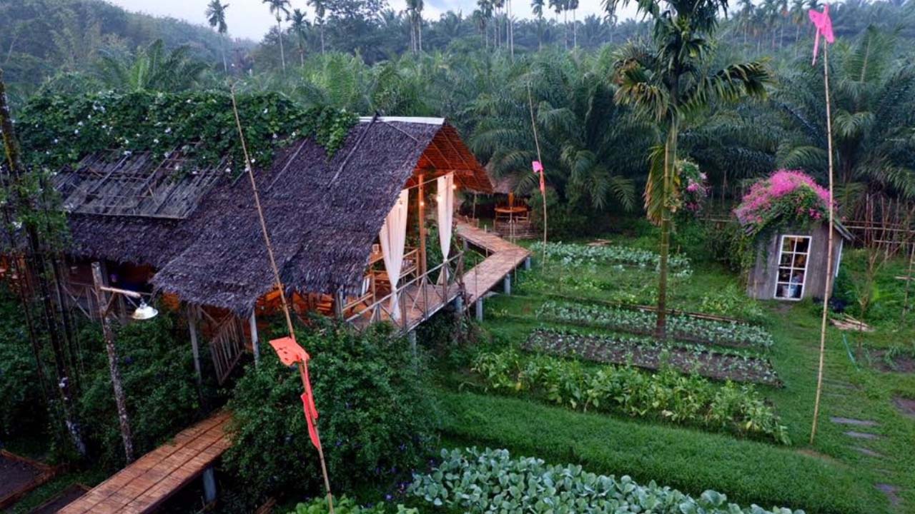 Top 10 homestay Bến Tre RẺ - ĐẸP - MÁT RƯỢI đậm chất Miền Tây