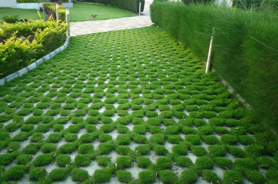 Gạch lát sân vườn trồng cỏ mẫu 10