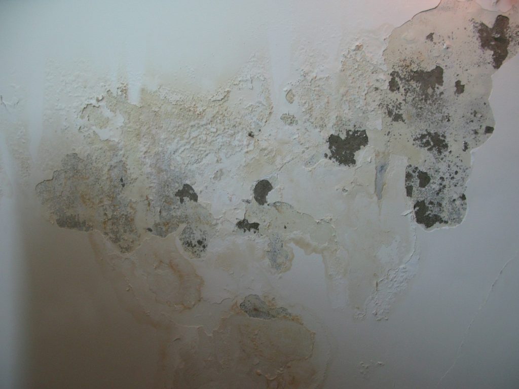Tường nhà bị ẩm mốc do một số nguyên nhân như thấm nước, quá hạn sử dụng