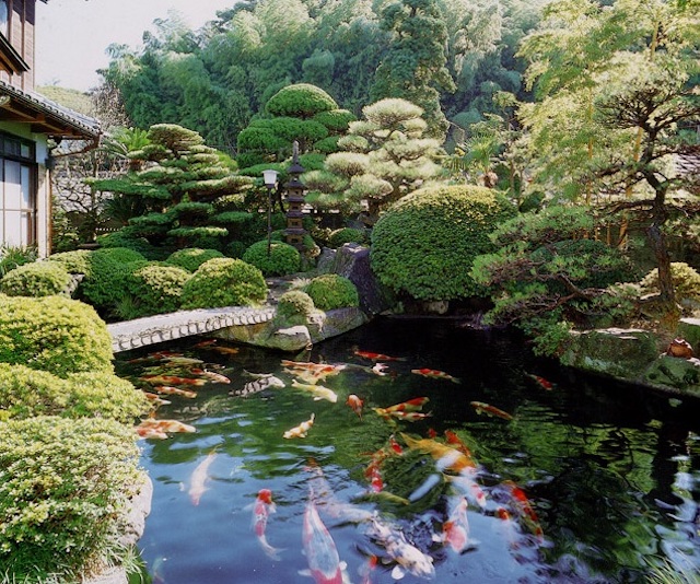 Thiết kế thi công trọn gói sân vườn Nhật Bản đẹp đẳng cấp