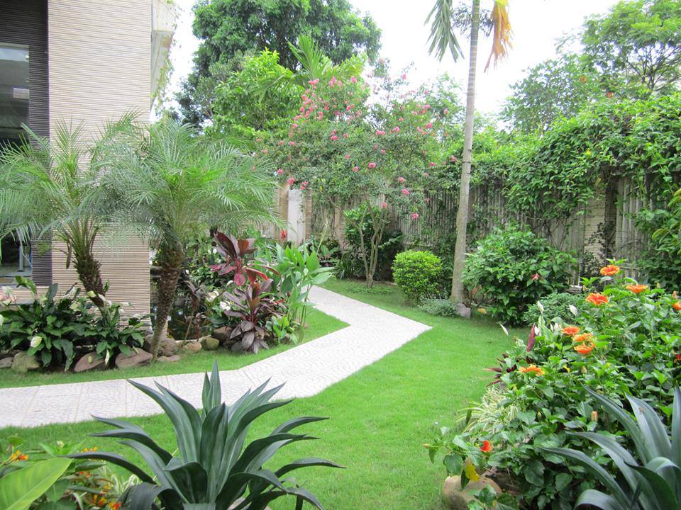 Thiết kế sân vườn trước nhà với những hàng cây xanh mát